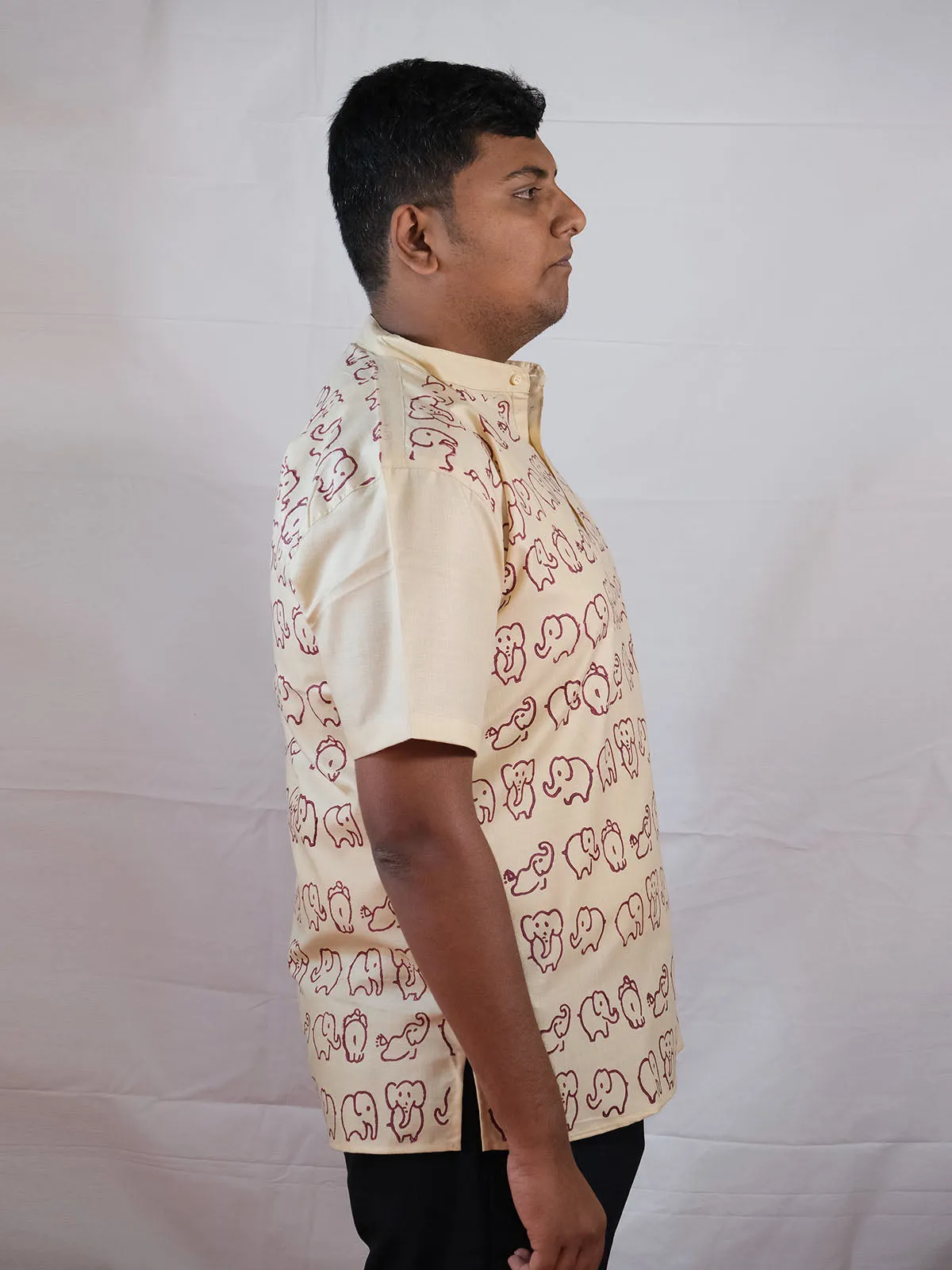 Block Printed Mini Elephants Brown Kurta