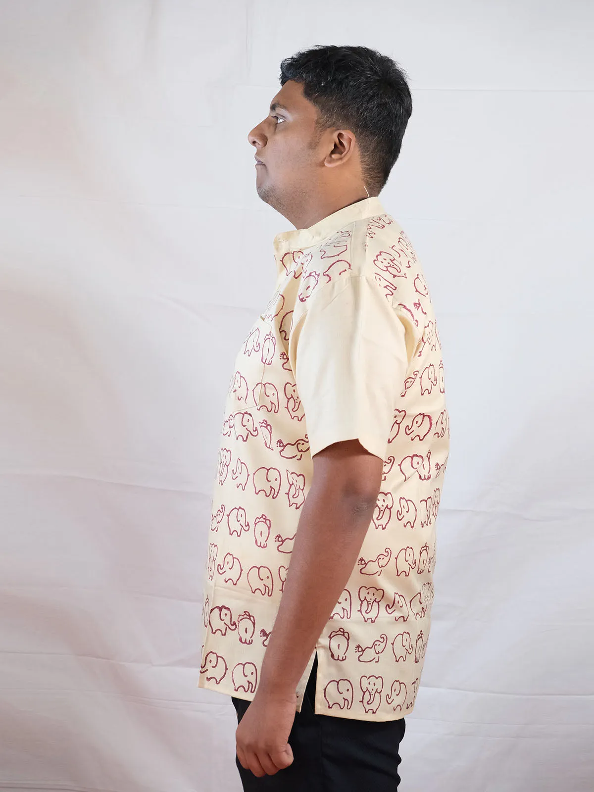 Block Printed Mini Elephants Brown Kurta