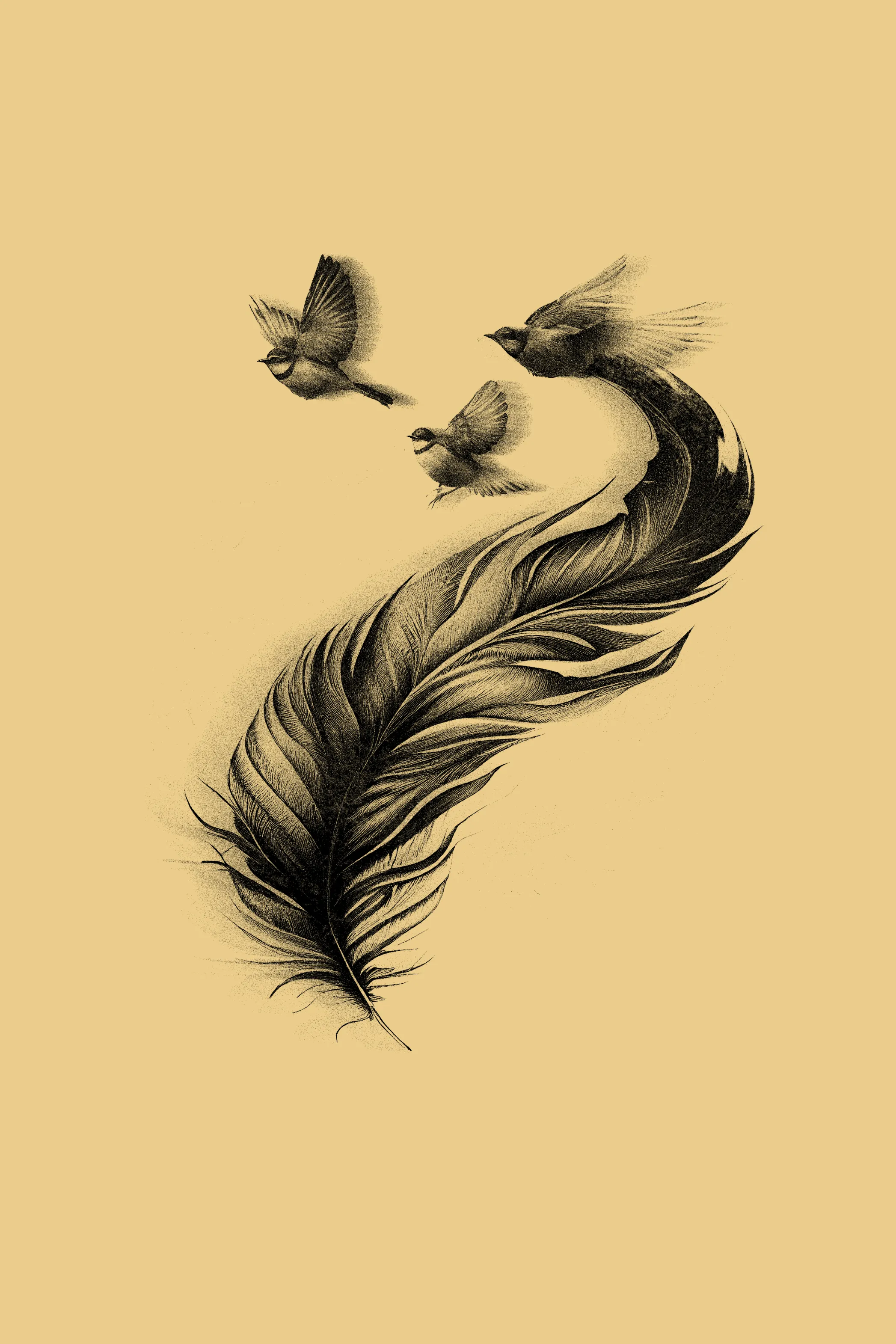 Feather With Birds Printed T-shirt for women