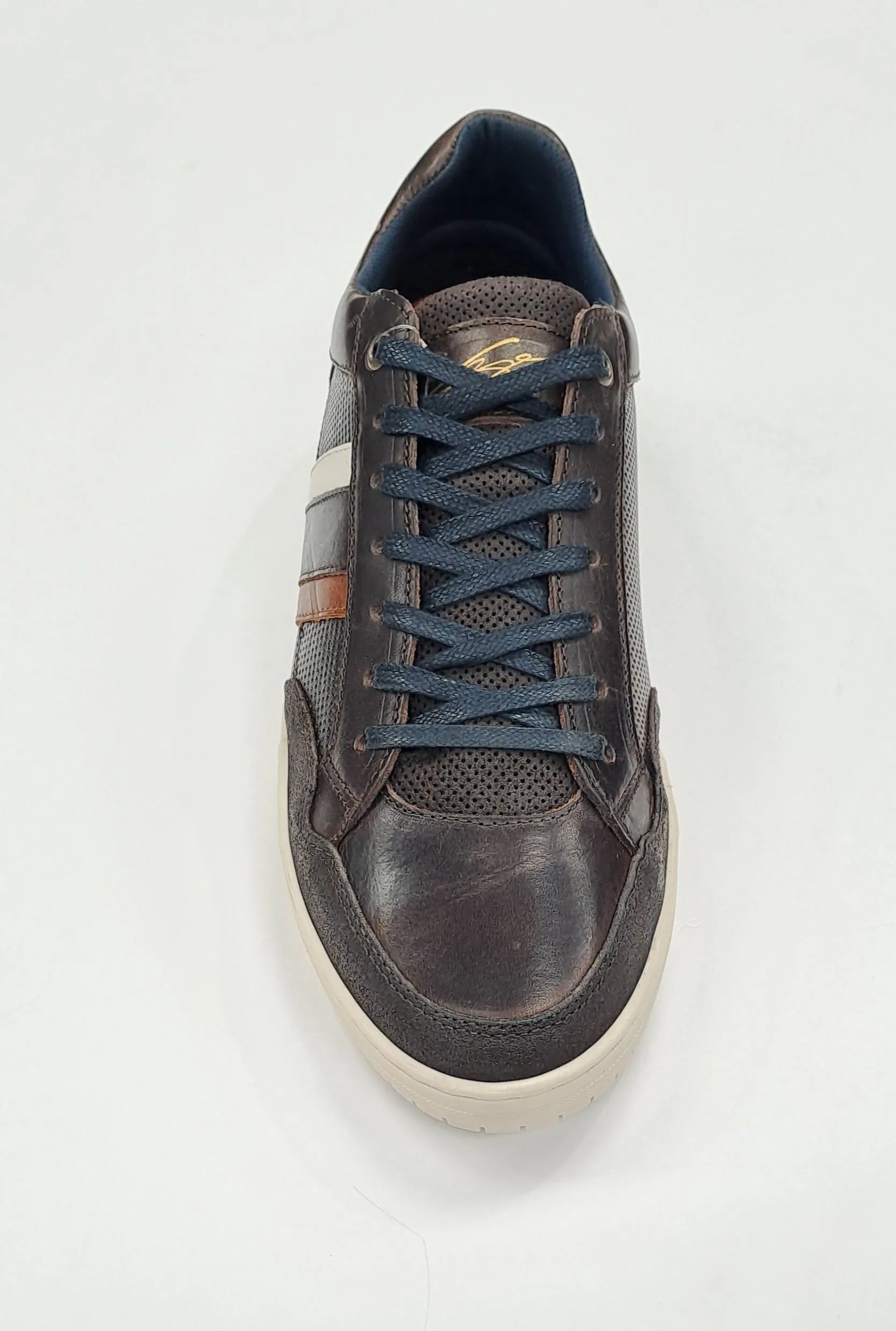 Lloyd & Pryce Gesi Casual Trainer - Russet