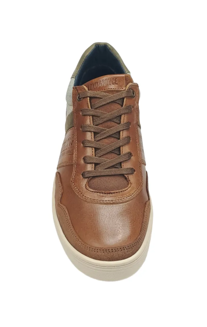 Lloyd & Pryce Kelleher Casual Trainer - Umber
